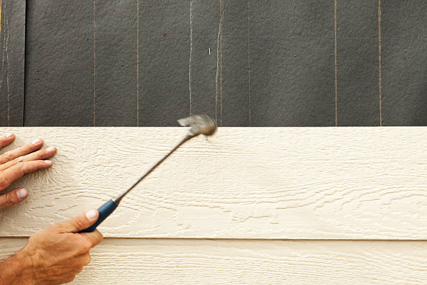 Best Historical Building Siding Restoration  in Lake Shore, UT